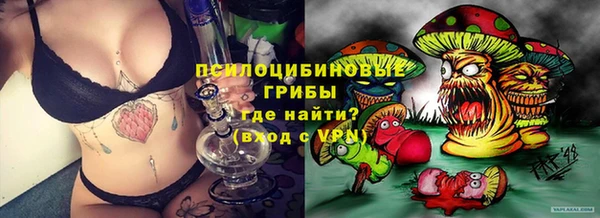СК Абинск