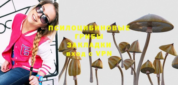 СК Абинск