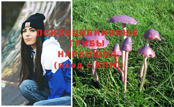 не бодяженный Абдулино