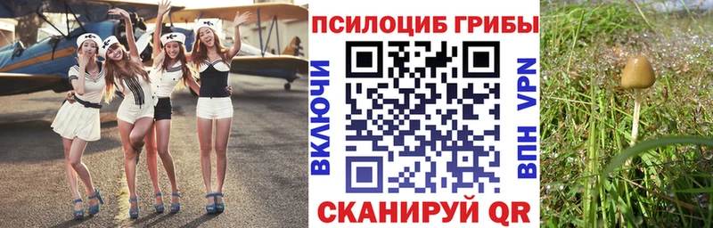 Галлюциногенные грибы Psilocybe  магазин    Щучье 